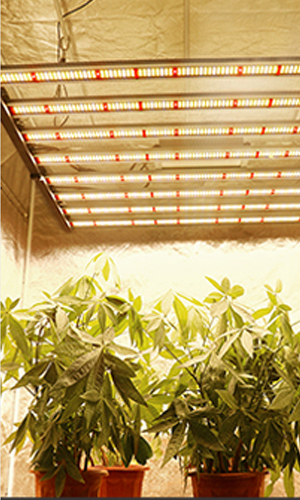led grow light application 2