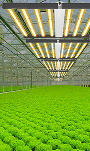 led grow light application 3