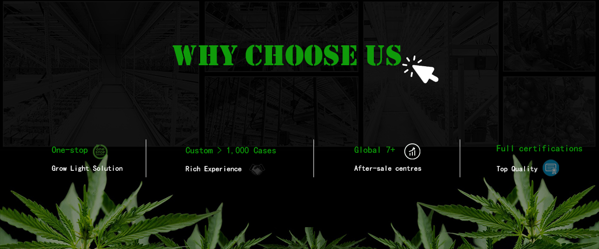 why choose our led grow lights